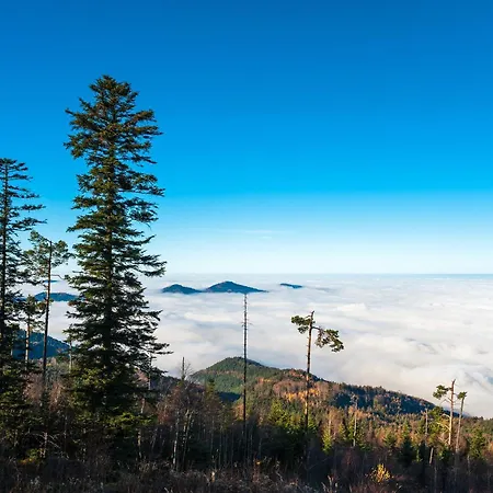 شقة Talblick Schwarzwald Loffenau
