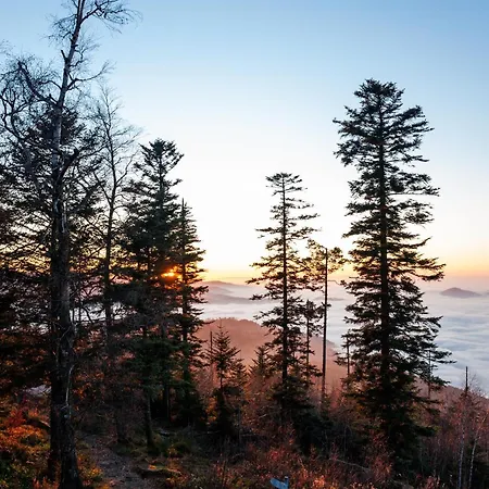Talblick Schwarzwald شقة