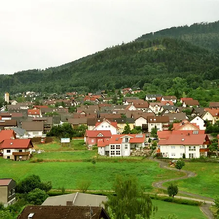 Talblick Schwarzwald شقة Loffenau